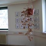 2010 mein zimmer im raum, das weisse haus a4